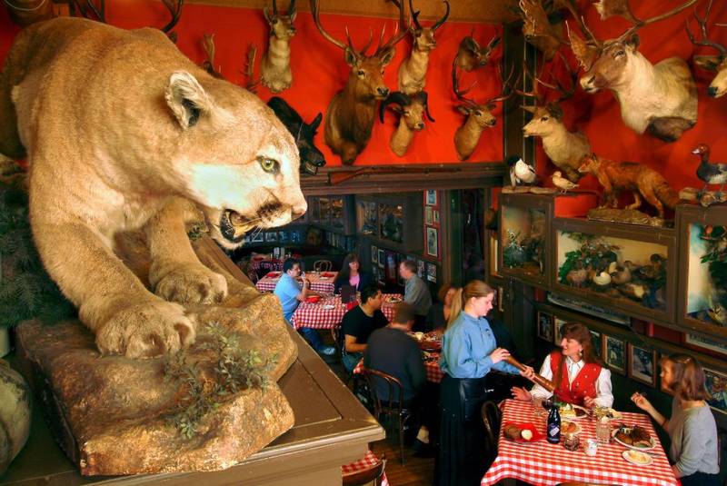 Taxidermy with a side of steak sandwiches at Buckhorn Exchange